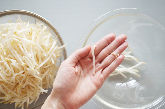 もやしの消費期限が1日過ぎた いつまで食べられる 長持ちする保存方法も紹介 ラフスタイル