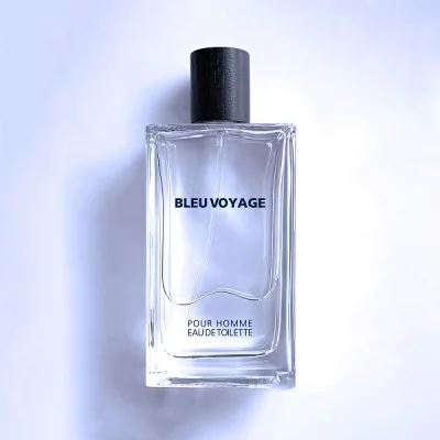ヴォヤージュ BLEU VOYAGE EDT SP 100ml